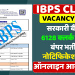 IBPS Clerk Vacancy 2024